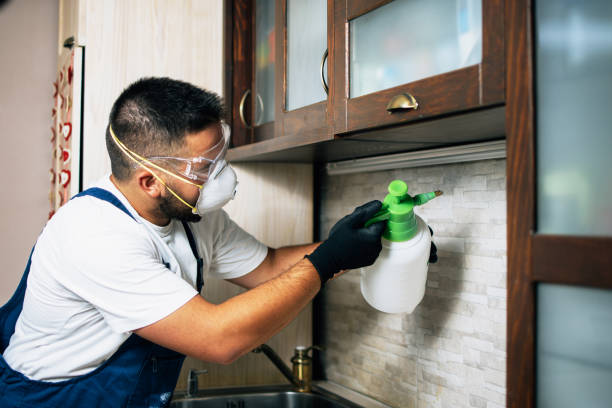 Best Emergency Pest Control  in Johnson, AR