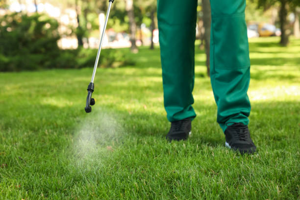 Best Pest Control Near Me in Johnson, AR