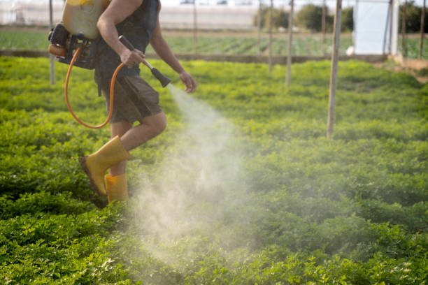 Best Pest Control Near Me  in Johnson, AR