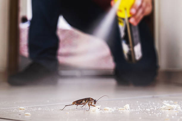 Johnson, AR Pest Control Company