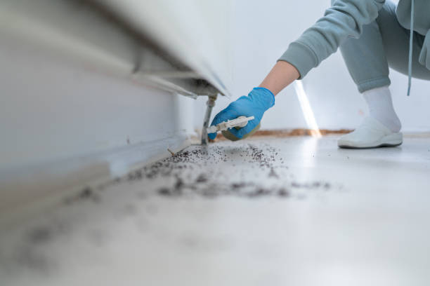 Best Pest Inspection Near Me  in Johnson, AR